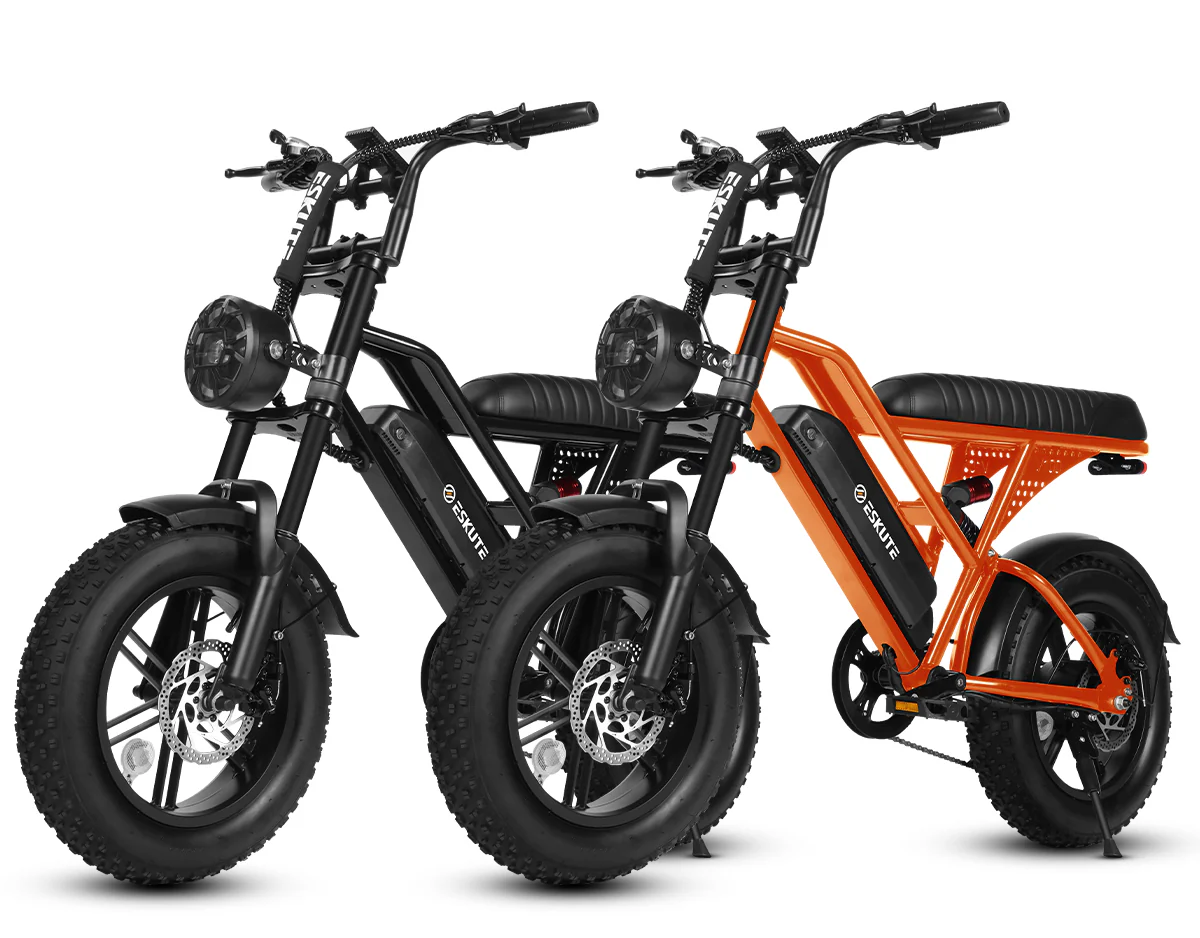 Eskute® Ebike Combo Sale V100*2 - Image 3