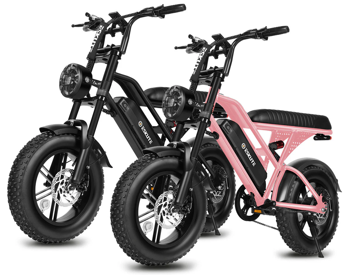 Eskute® Ebike Combo Sale V100*2 - Image 5