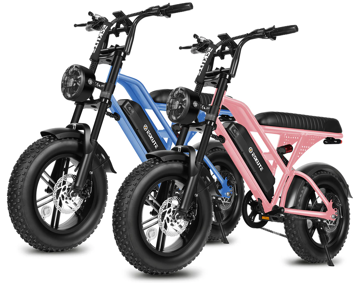 Eskute® Ebike Combo Sale V100*2 - Image 6