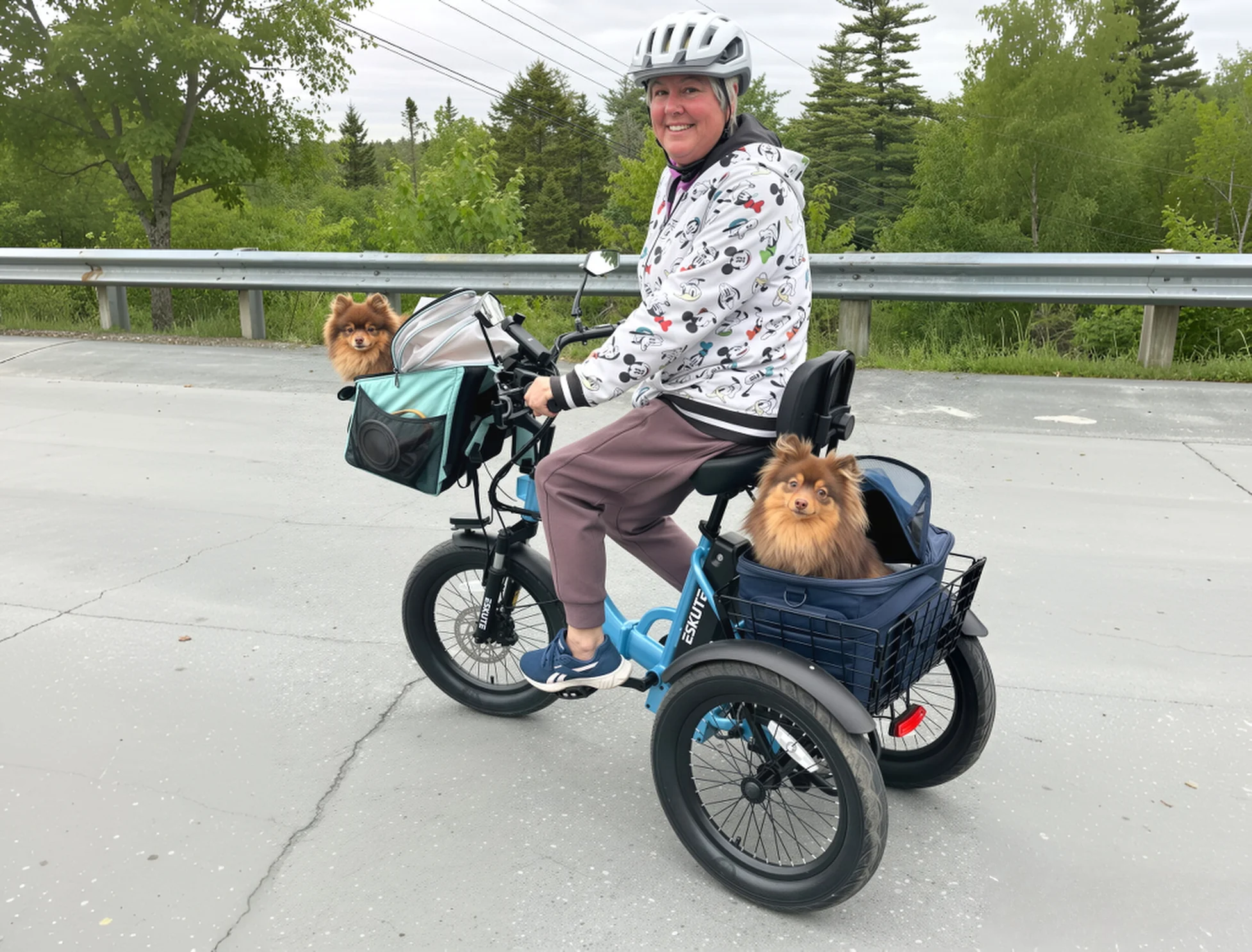 Eskute® T300 Folding Electric Trike - Image 5